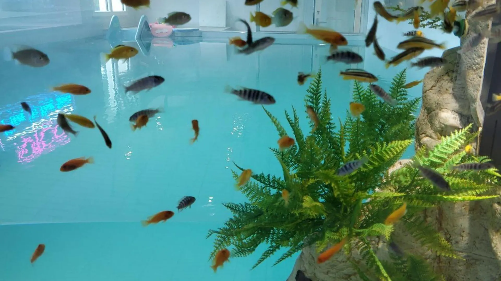 Pico Kids Pool Villa Busan Holiday home