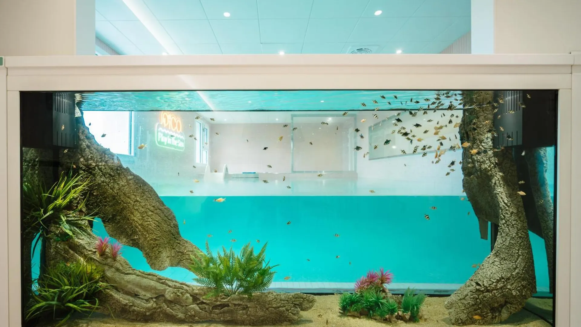 Pico Kids Pool Villa Busan